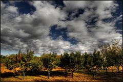 quando arriva l'autunno