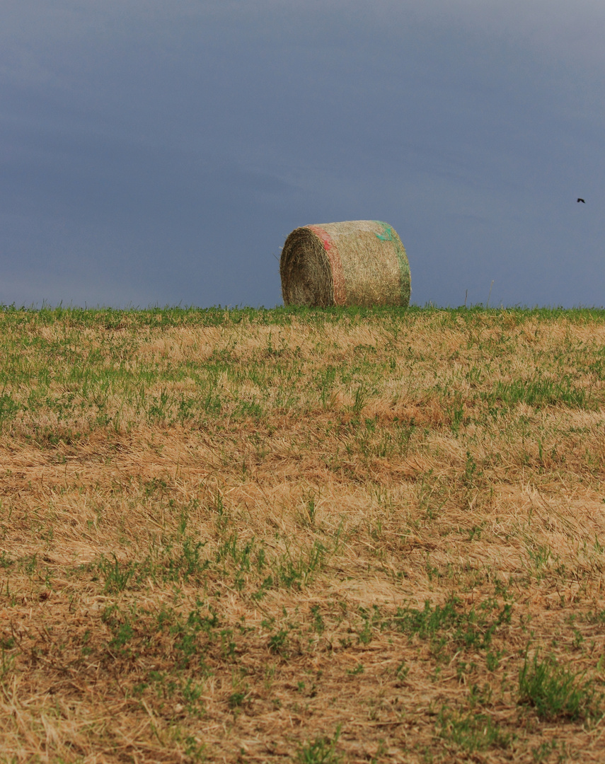 quando arriva l'estate