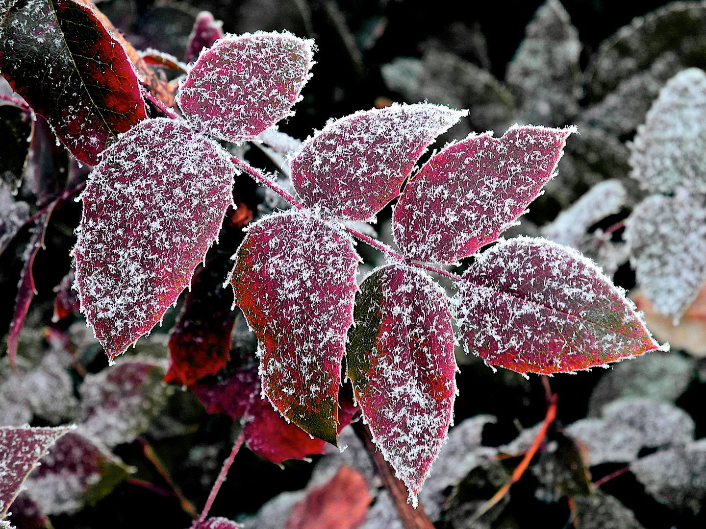 Quando arriva l'inverno