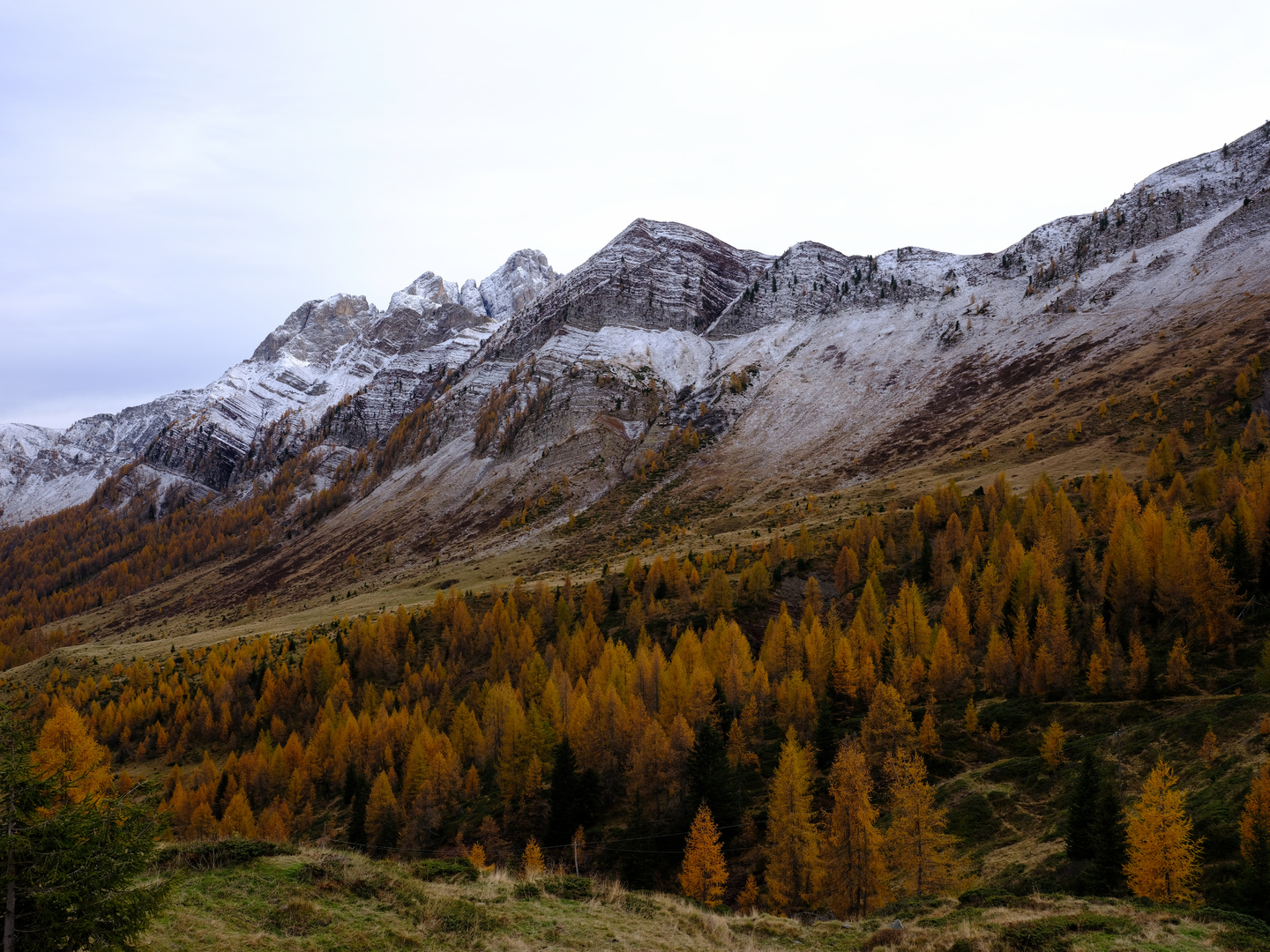 quando i colori ci presentano il trascorrere degli anni