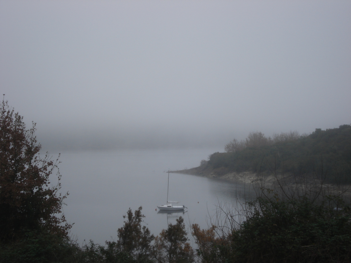 "Quando il Lago e la nebbia si sfiorano....."