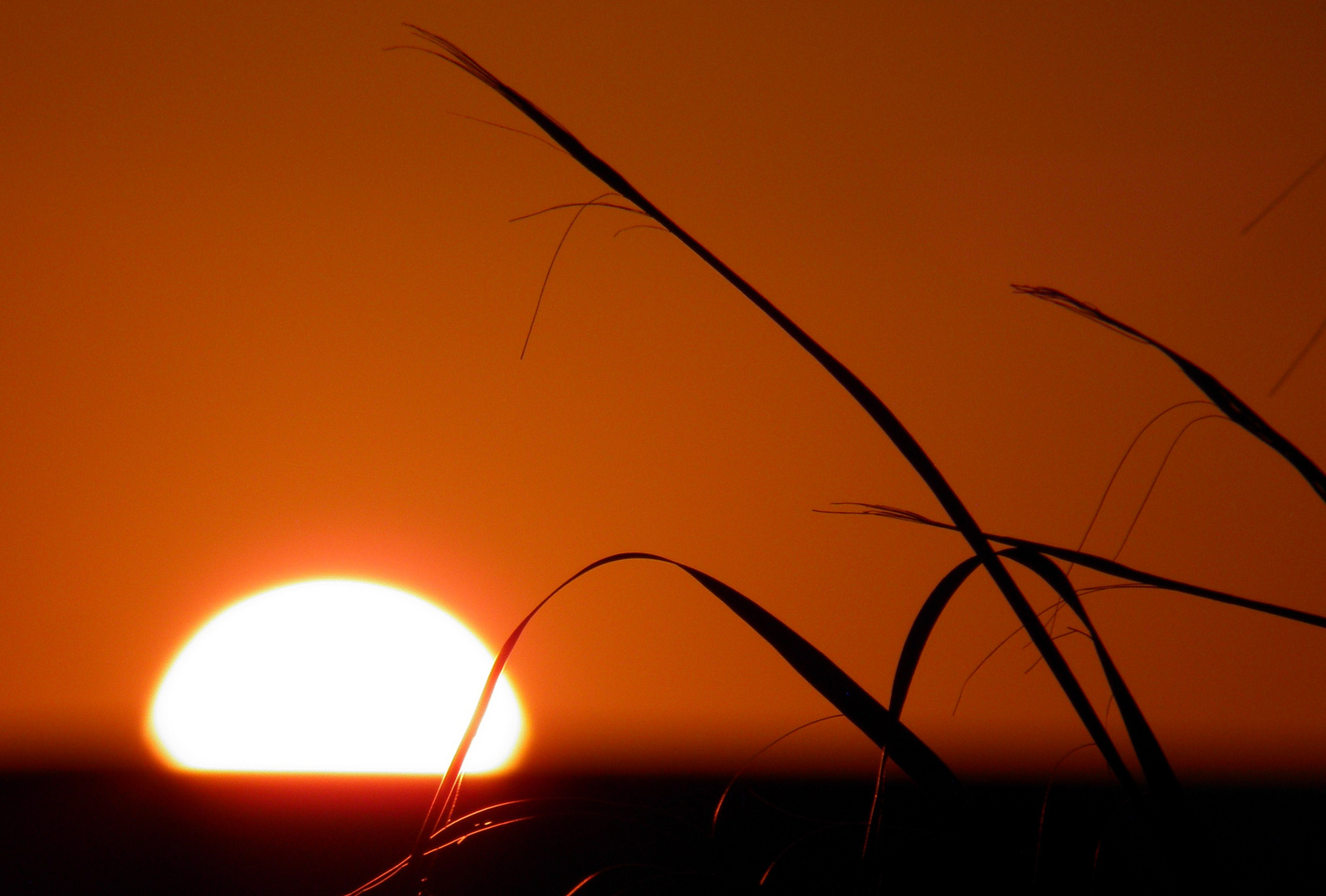 ….quando il sole alzò la testa….