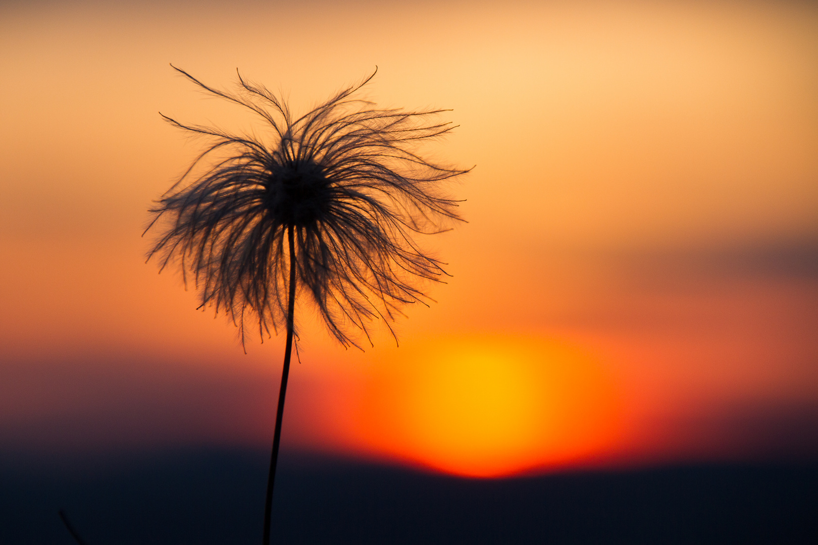 quando il sole va giù