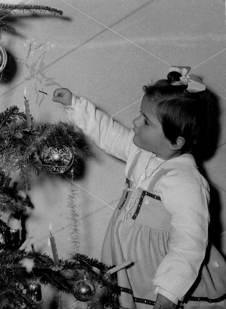 quando in casa si faceva l'albero di Natale