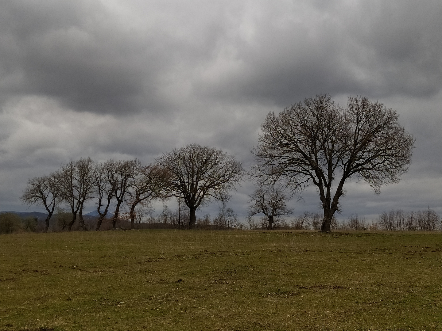 Quando la natura diviene poesia 