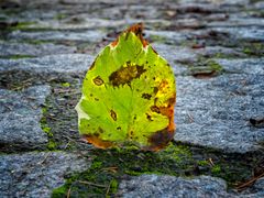 Quando la natura ti sorprende