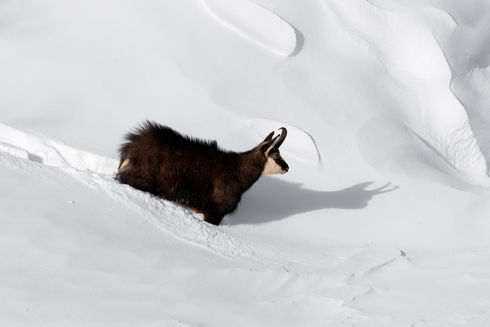 Quando la neve c'era!!!