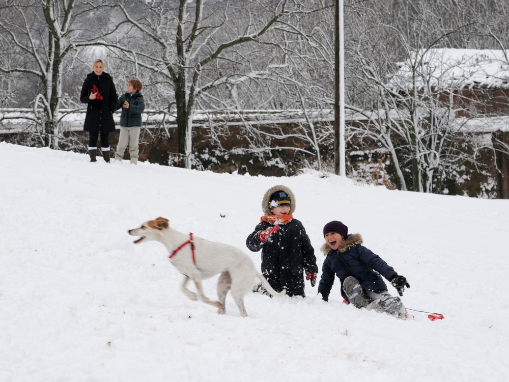 Quando la neve è allegria