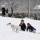 Quando la neve è allegria