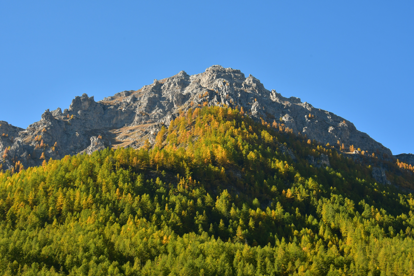 Quando l'Autunno gli alberi colora - 2