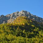 Quando l'Autunno gli alberi colora - 2