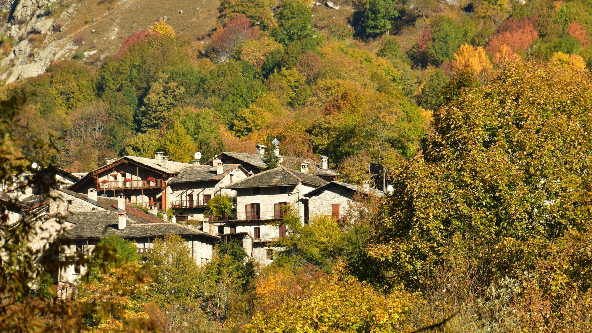 Quando l'Autunno gli alberi colora - 4