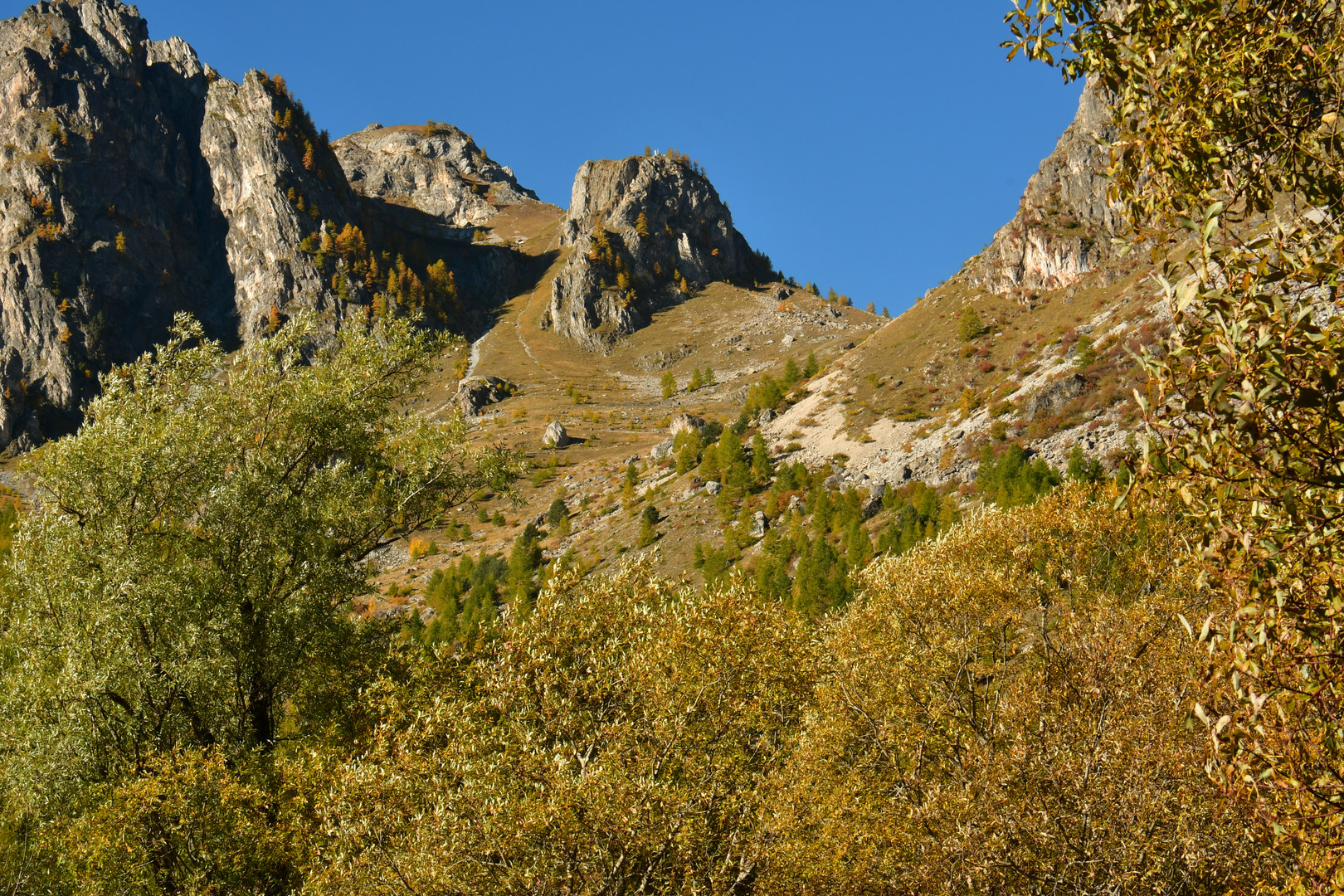 Quando l'Autunno gli alberi colora