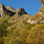 Quando l'Autunno gli alberi colora