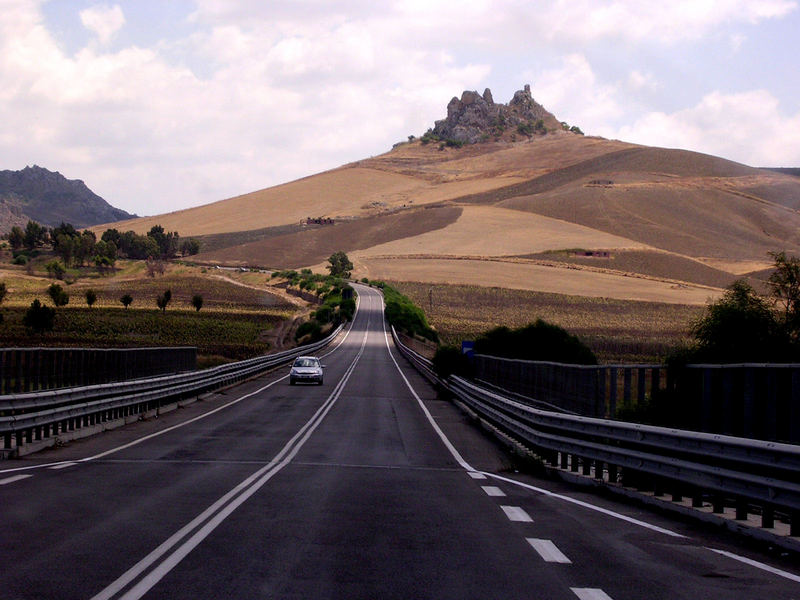 quando pensi di essere sola, qualcuno appare sul tuo cammino