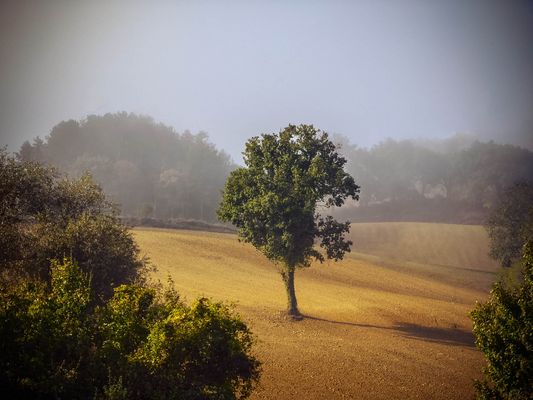 ..quando si alzano le...