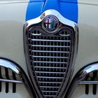 "Quando vedo un'Alfa Romeo mi tolgo il cappello." (Henry Ford)