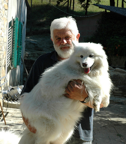 Quantoi cani decidono di somigliare ai padroni