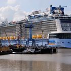 QUANTUM of the SEAS 02