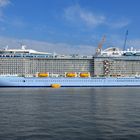 Quantum of the Seas"