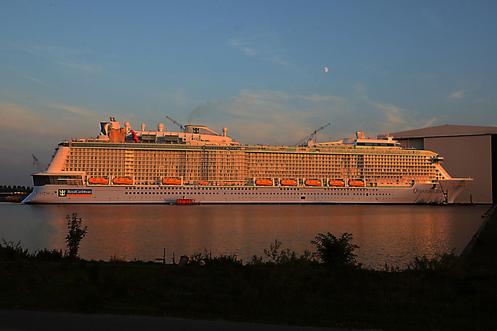 Quantum of The Seas