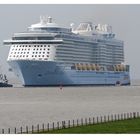 Quantum of the Seas...