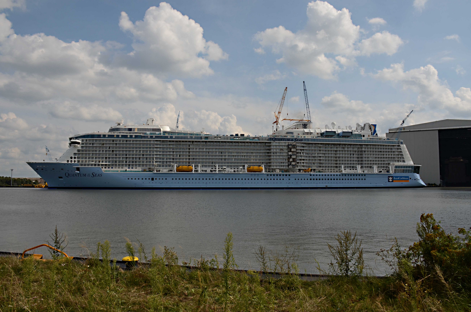 Quantum of The Seas