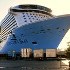 Quantum of The Seas