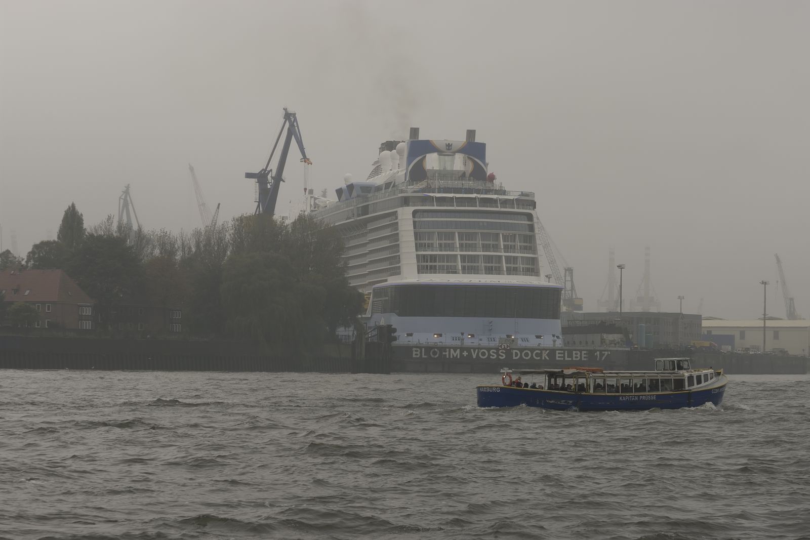 Quantum of the Seas - Dock Elbe 17, Hafen Hamburg