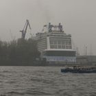 Quantum of the Seas - Dock Elbe 17, Hafen Hamburg