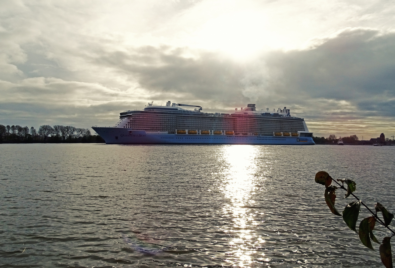 Quantum of the Seas / Hamburg #2