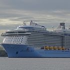 Quantum of the Seas / Hamburg #6