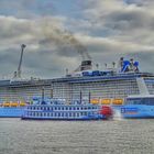 Quantum of the Seas / Hamburg HDR #1