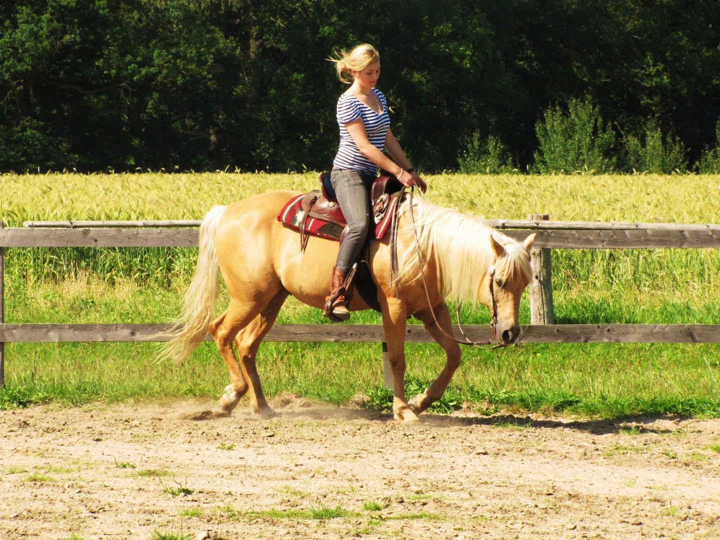 Quarter Horse "Born Jessies Shadow"