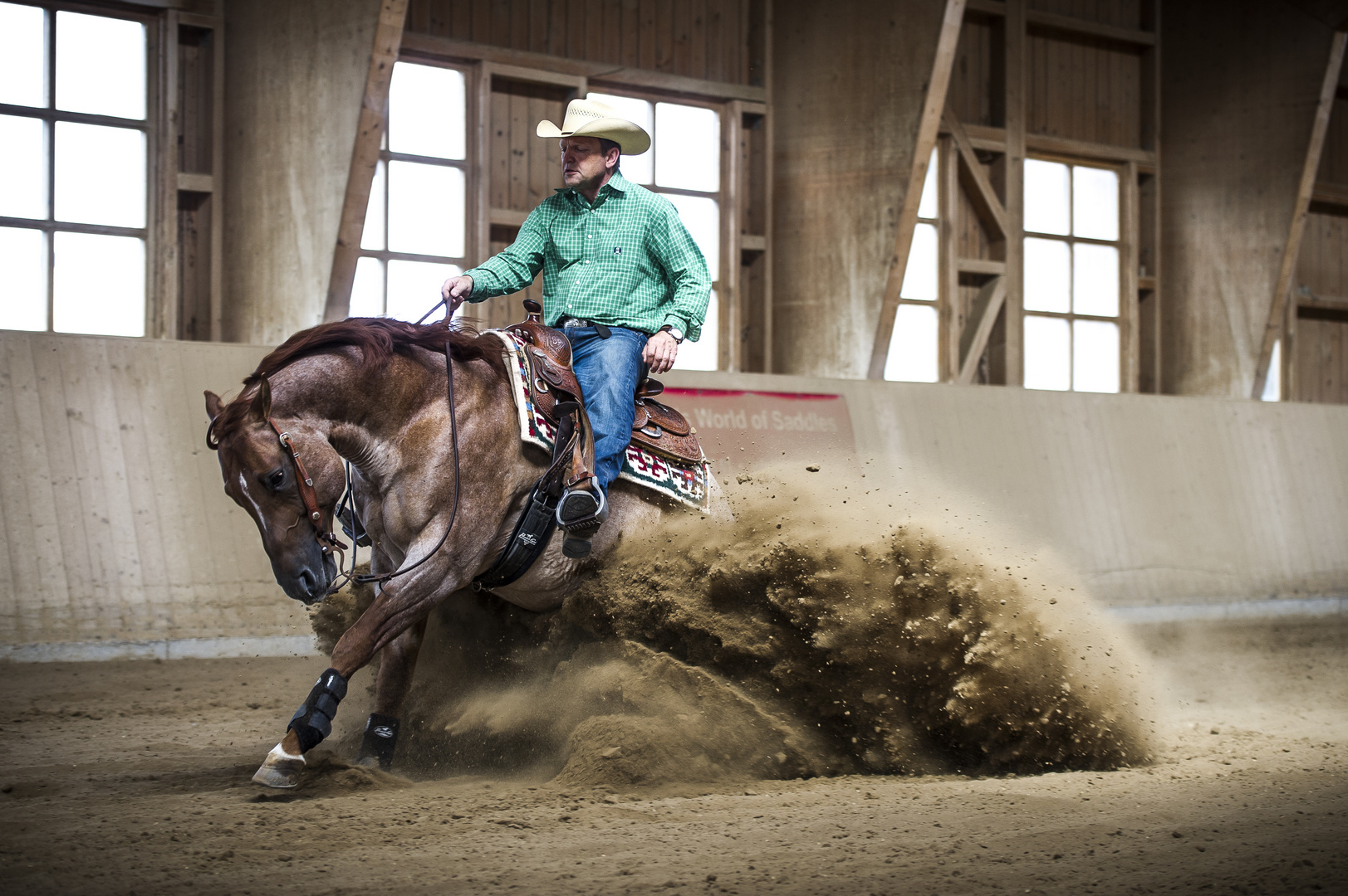 Quarter Horse Stallion Ima Royal Legacy