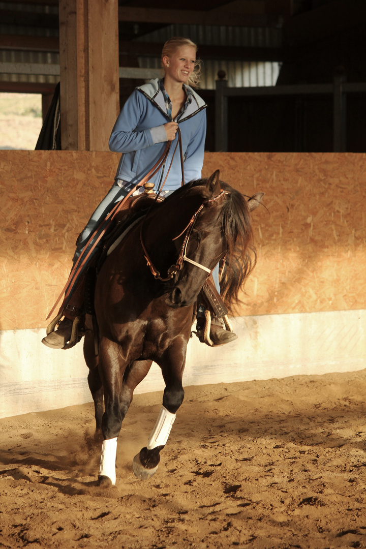 Quarterhorse