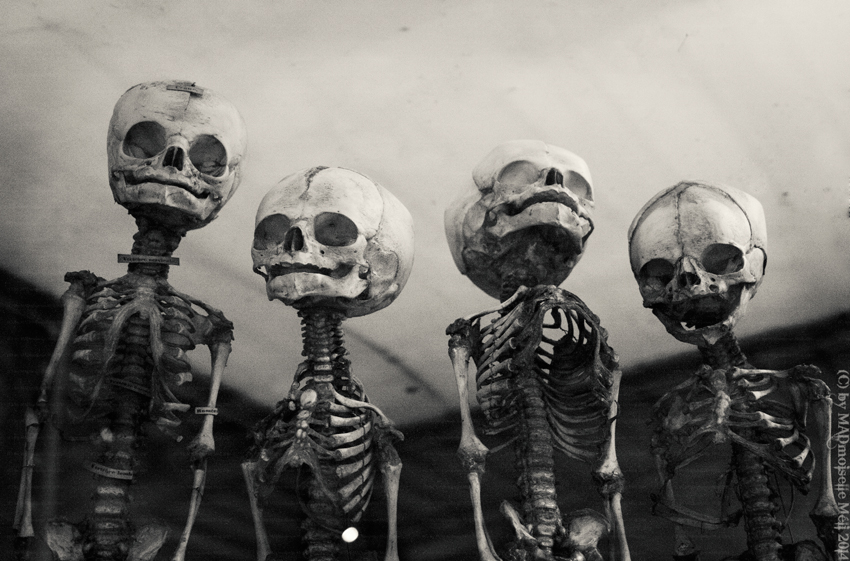Quartett des Todes