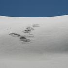 Quartett im Silvretta