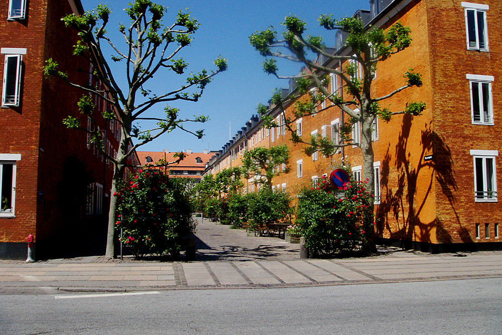 quartier dit des pêcheurs