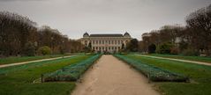 Quartier Latin - Jardin des Plantes