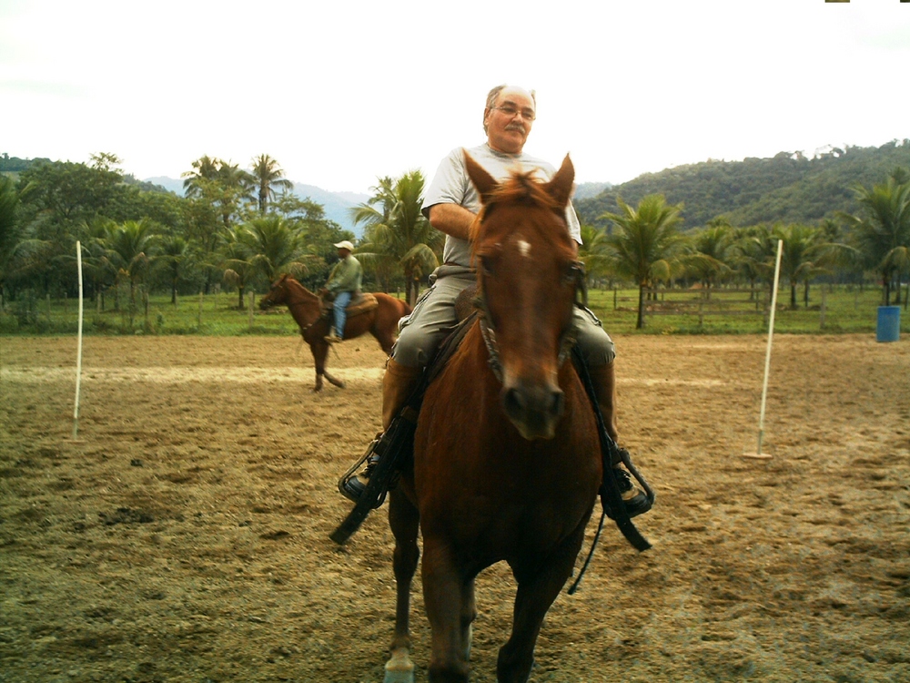 Quarto-de-milha - Papucaia, RJ