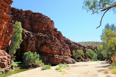 Quarzitklippen, Roter Sandstein und River Red Gums