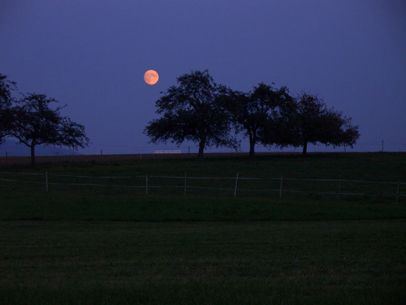 Quasi Vollmond...