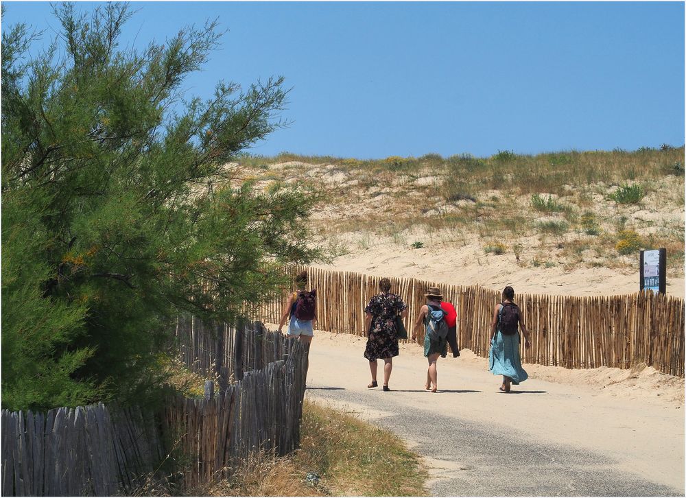 Quatre filles dans le vent