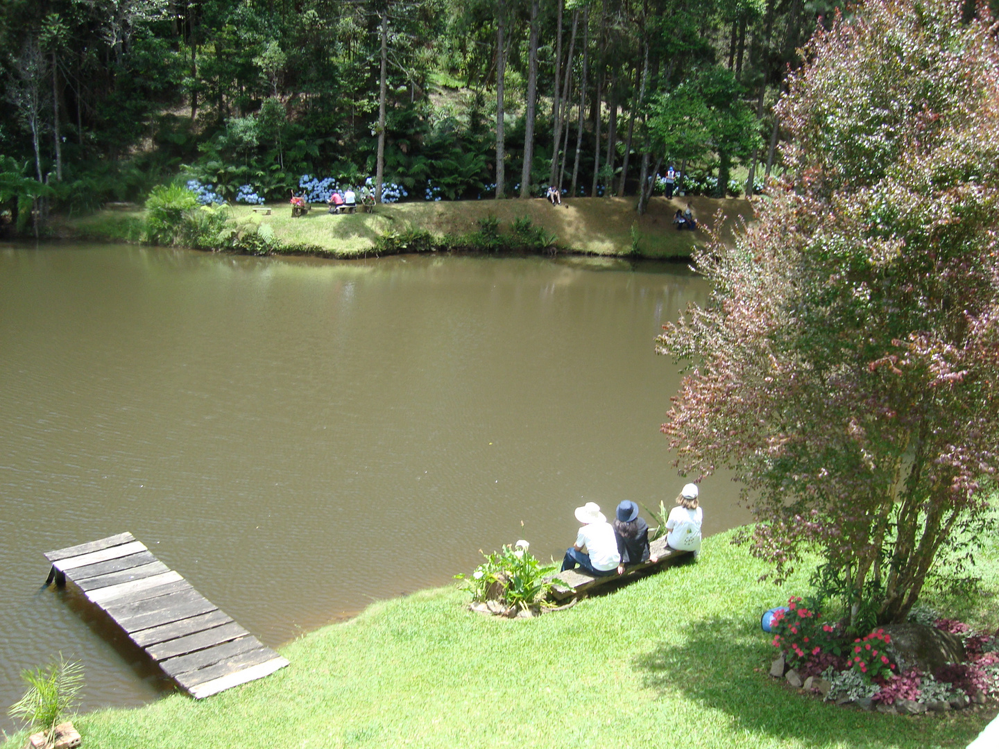 Quatro Barras - Pr - Brasil