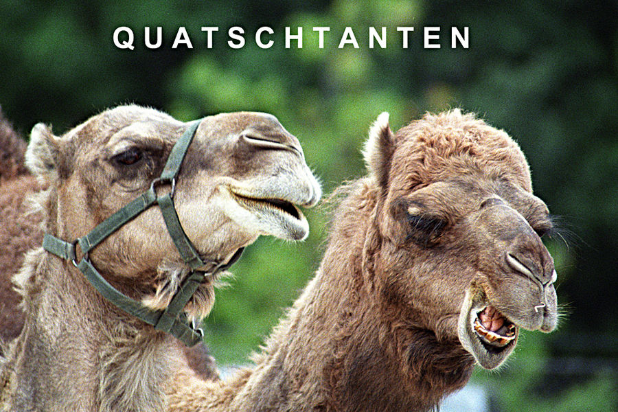 Quatschtanten