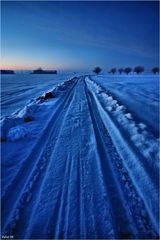 Quattro passi in blu