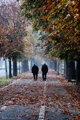 Quattro passi in compagnia