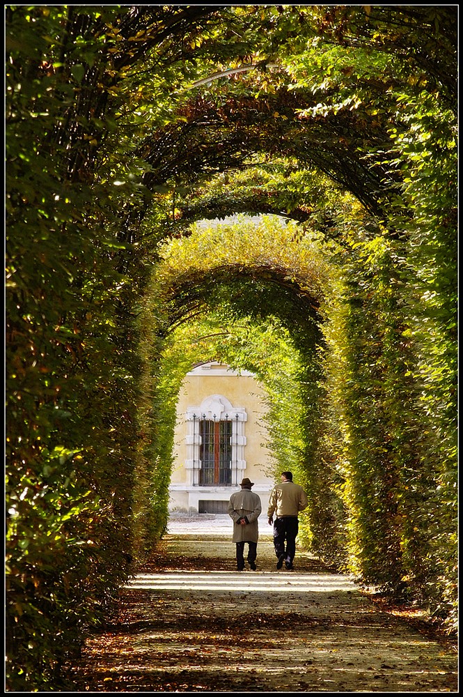 Quattro passi in giardino