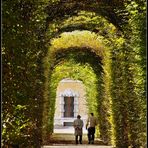 Quattro passi in giardino